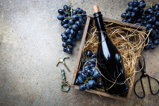 A bottle of red wine in a box with grapes on a gray stone background, copy space , top view.