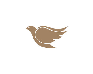 Bird wing Dove Logo Template vector