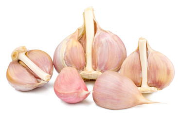 Garlic on white background isolated