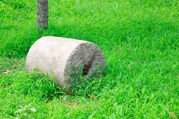stone roller
