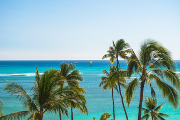 Fototapeta na wymiar Ocean view with palm trees in Oahu, Hawaii