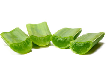 Fresh aloe vera isolated on white background