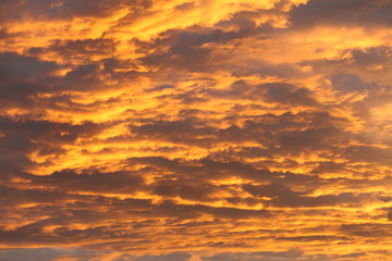 Intense colorful sky with layer of cloud  at the evening before sunset