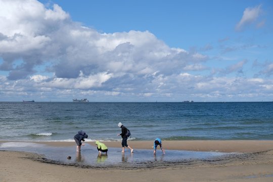 Poland, Gdansk, Baltic Sea - young people collecting shells and amber on Jelitkowo beach