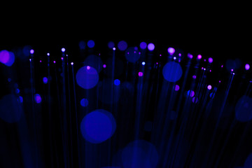 Fiber optic, glare in the focus. Abstract futuristic background