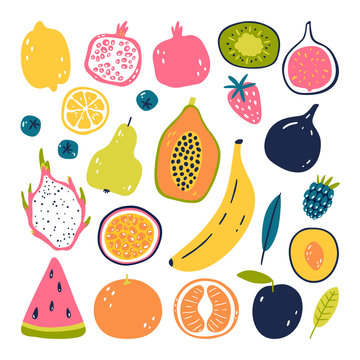 Hand drawn fruits. Vegetarian food. Vector illustration isolated on white background. Eco lifestyle.