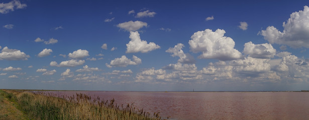 Panorama of pink lake Sasyk-Sivash in Crimea