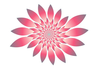 isolated fractal flower in pink shades on white