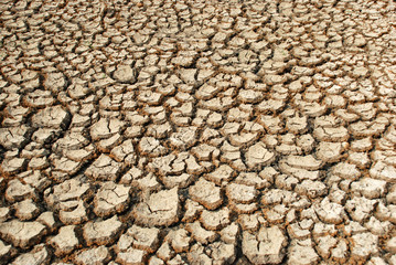 Cracked ground During the dry season of Thailand Will be very common in the summer