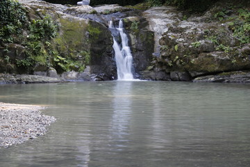 Obraz premium waterfall in forest