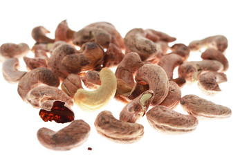 pile of cashew nuts with and without shell 1