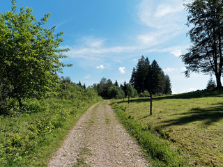 Fototapeta na wymiar Schwarzwaldlandschaften. Panoramaberg, Wanderweg Nonnenmattweiher. Blick auf die kurvenreiche Straße nach Haldenhof und Münstertal