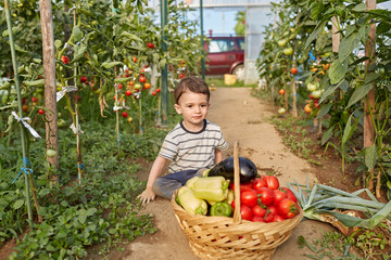 Little boy in the garden