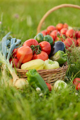 Various vegetables in a basket