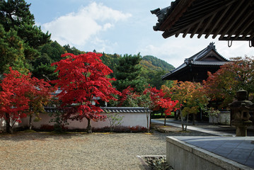 禅寺の秋 / 漢陽寺の紅葉