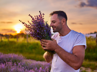 Farmer harvesting lavender