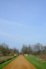 Straight rural pathway with green plants and tree on both the side against blue sky