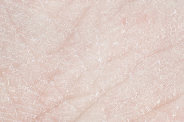 Fototapeta premium Close-up skin with pores on human leg, macro