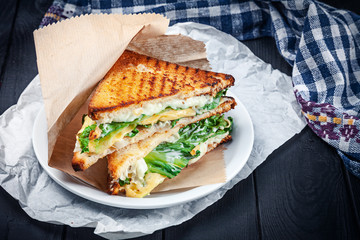 Close up on grilled sandwich with different types of melted cheese and lettuce. Snack. Fast food...