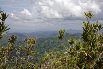 Obraz na płótnie Canvas Tropical Vegetation and Distant Atlantic Ocean Coastline Horizon Landscape from summit of El Yunque Mountain above Baracoa Bay Cuba
