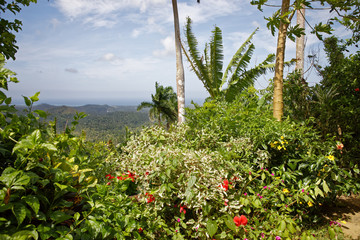 Tropical Vegetation and Distant Atlantic Ocean Coastline Horizon Landscape from summit of El Yunque Mountain above Baracoa Bay Cuba - obrazy, fototapety, plakaty