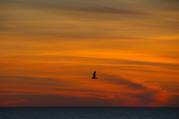 Obraz na płótnie Canvas adorable sunset over the Baltic sea