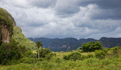 Fototapeta premium Vinales, Cuba - July 28, 2018: Stunning view of Cuban landscape in Vinales Valley National Park 