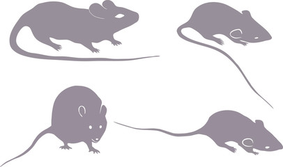 figures of rats and mice on a white background