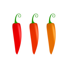 Healthy vegetables with ripe pepper  vitamins and minerals isolated on white background. Quality vector illustration about diet, eco food, benefits of vegan and nutrition concept.