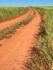 Dusty and dirty tractor road in field landscape. Way between fields