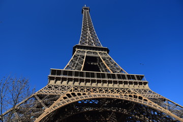 Eiffel tower in morning time