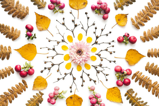 Autumn Mandala Made Of Dry Leaves, Fern, Berries, Twigs And Pink Flowerhead - Powered by Adobe