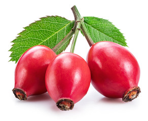 Rose-hips with rose leaves isolated on a white background.