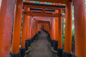 Kyoto - May 28, 2019: Torii gates of the Fushimi Inari Shinto shrine in Kyoto, Japan