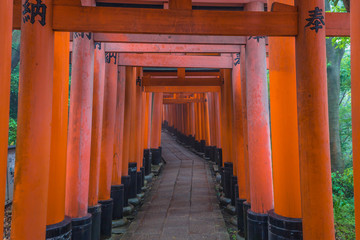 Kyoto - May 28, 2019: Torii gates of the Fushimi Inari Shinto shrine in Kyoto, Japan
