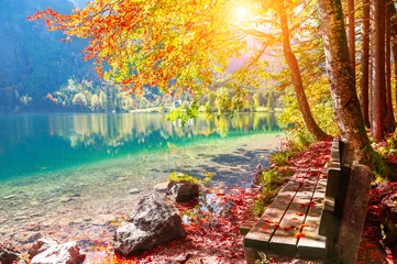 Fototapeten Bank und gelbe Herbstbäume am Ufer des Sees in den Alpen, Österreich. Schöne Herbstlandschaft © smallredgirl