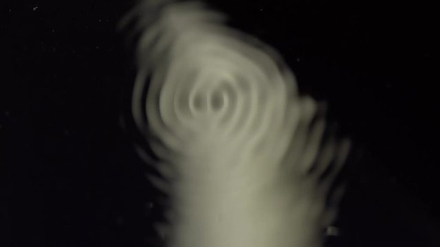 Water forming cymatic patterns and reflecting light. Fluid surface under influence of acoustic frequency. Physical phenomenon between frequency, vibration and liquid.