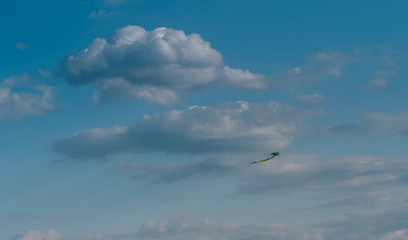 white clouds float across the blue sky
