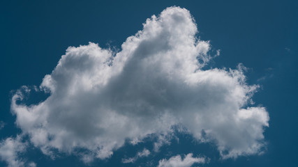 white clouds float across the blue sky