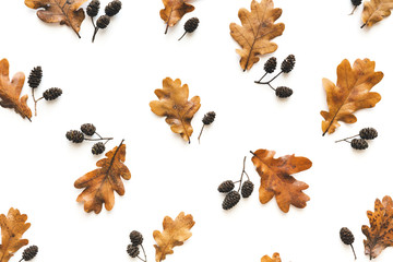 Full Frame Autumn Pattern Made Of Dry Oak Leaves And Cones