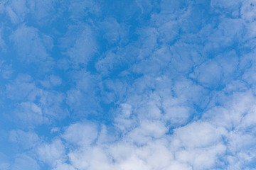 Fototapeta na wymiar puffy soft clouds in harmonic structure under blue sky