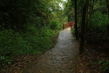 Obraz premium path in park