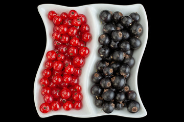 Black and red currant berries closeup