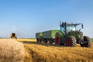 Harvesting of wheat fields in summer