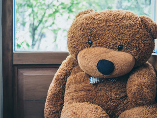 Big cute teddy bear sitting near the window glass