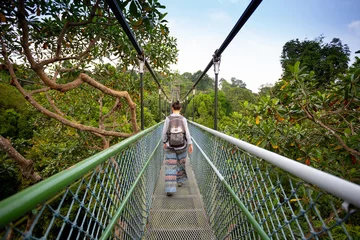 Outdoor-Kissen Singapore tree top walk bridge © ttinu