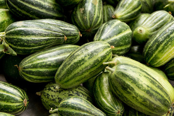 Apulian Carosello Cucumbers on a farmer's market