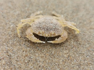 summer beach sun and clouds