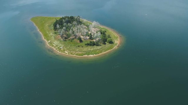 Top view of lake island with white trees in Batak, Bulgaria.4k,drone footage