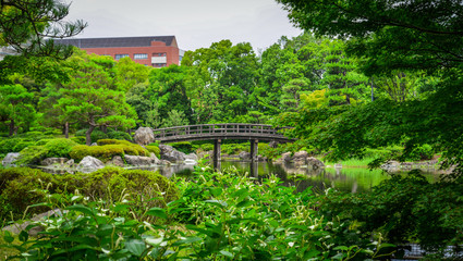 Idyllic landscape of Japanese garden